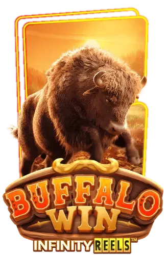 buffalo-win -รวยยืนหนึ่ง